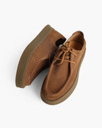 Pair of brown leather shoes on a white background